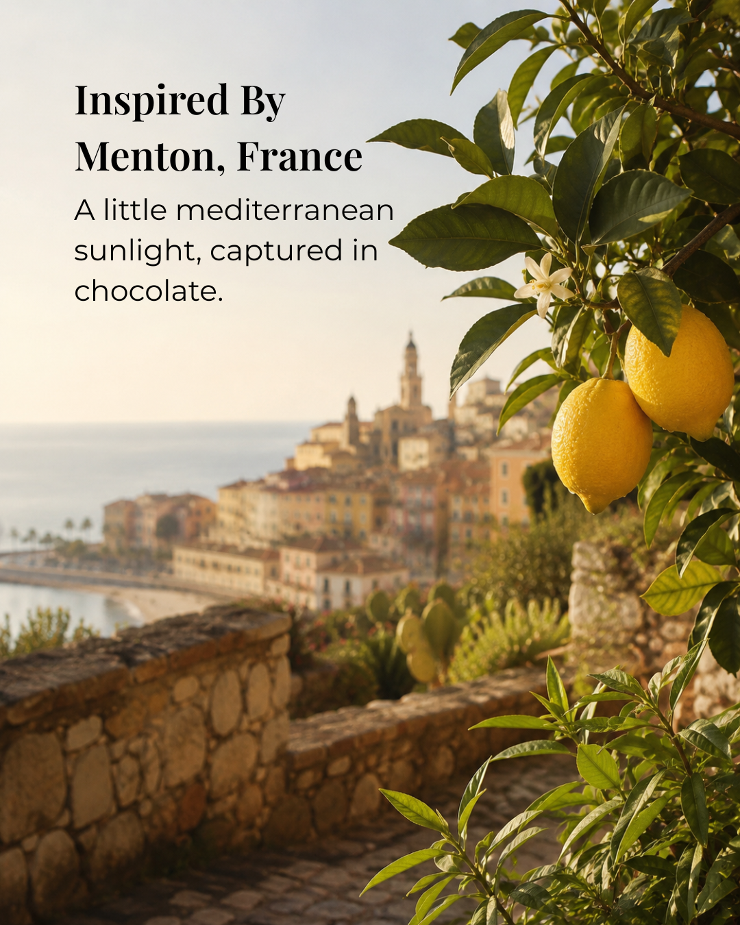 Meyer Lemon Verbena (Luxe Chocolate Collection)