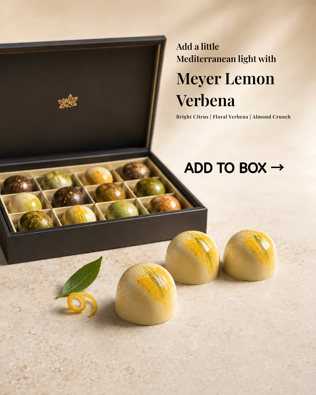 Meyer Lemon Verbena (Luxe Chocolate Collection)